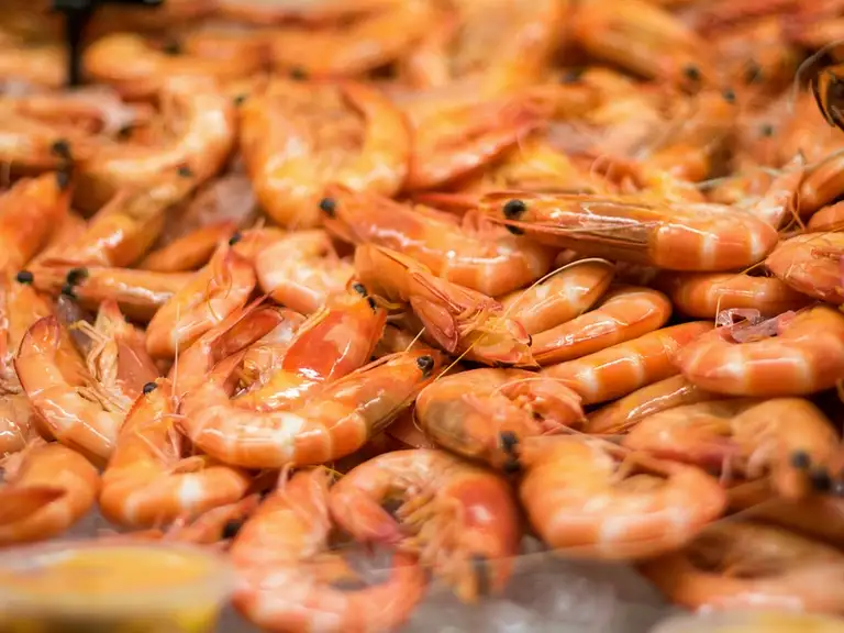Mooloolaba Seafood Lunch Cruise Deal