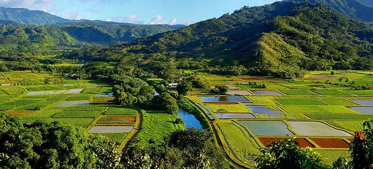 Kauai Movie Adventure Tour Deals