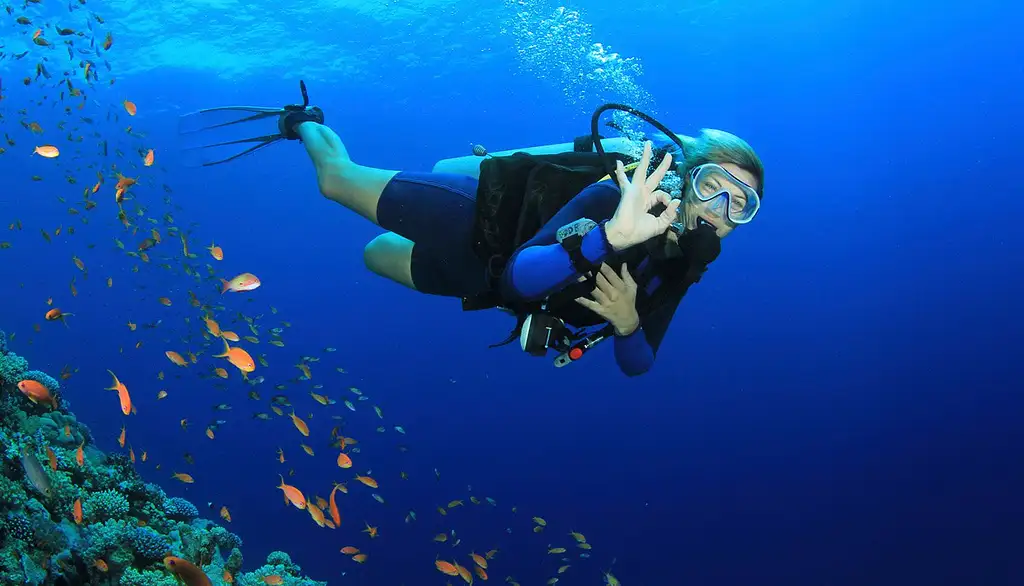 Thai Dive - Koh Tao