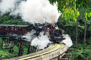 Puffing Billy And Phillip Island Wildlife Bus Tour