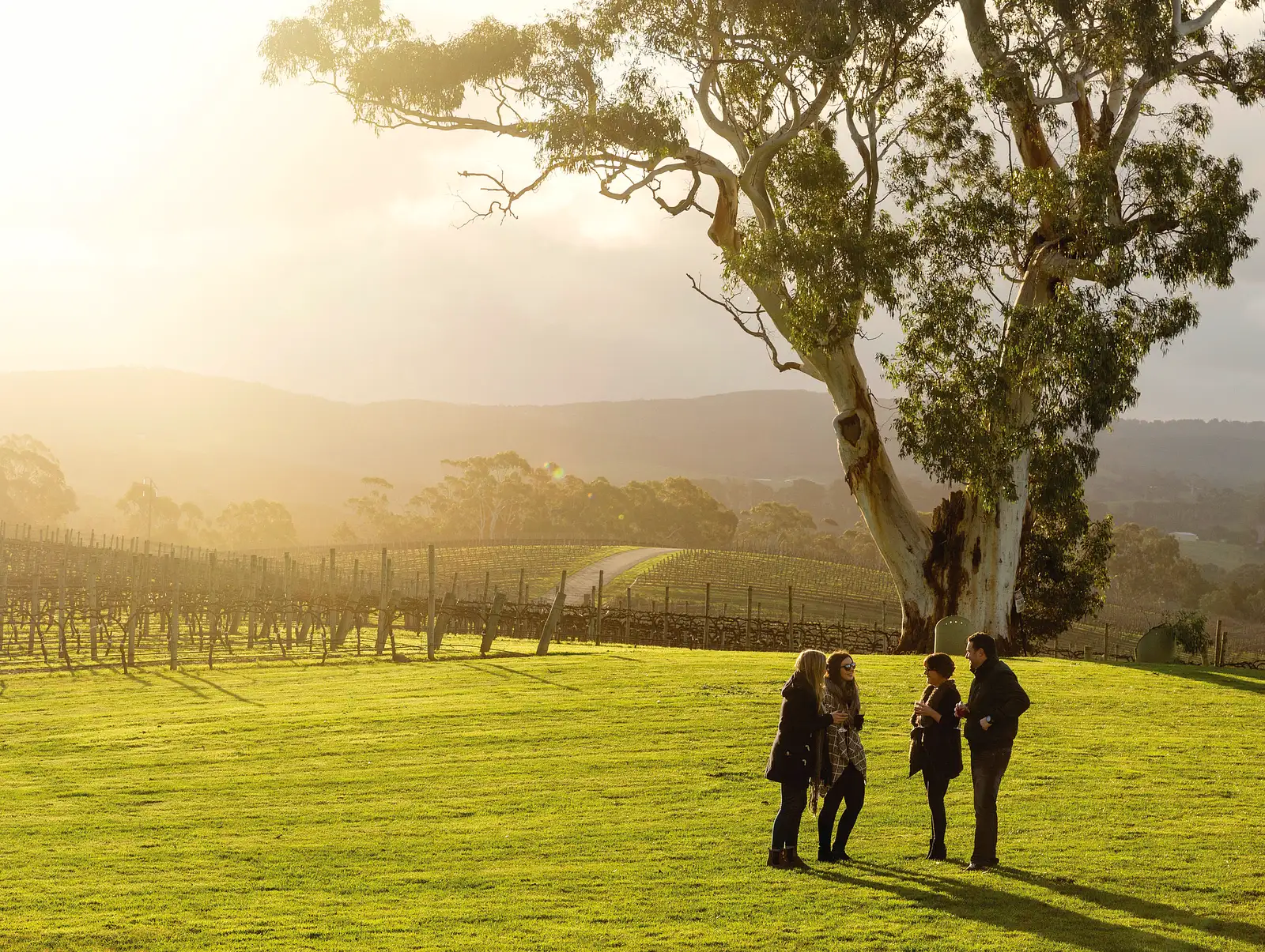 Adelaide day tours