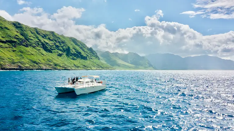 Oahu Swim with Dolphins