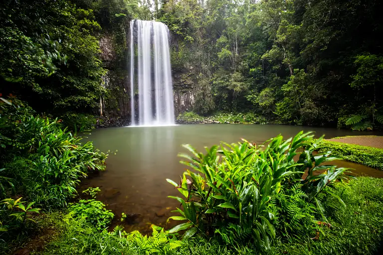 5 Day Atherton Tablelands Tour