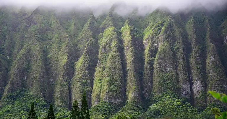 hawaii photography tours
