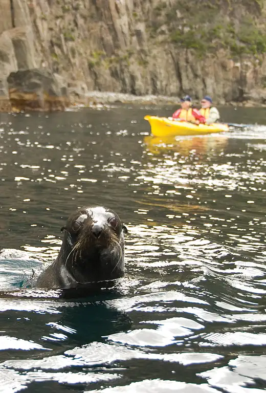 Tasmania kayak tours