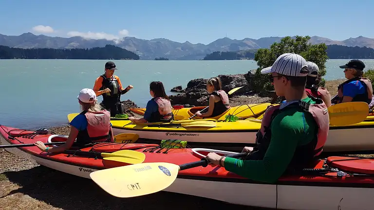 Sea Kayaking, Lyttelton Harbour & Quail Island Tour Deals