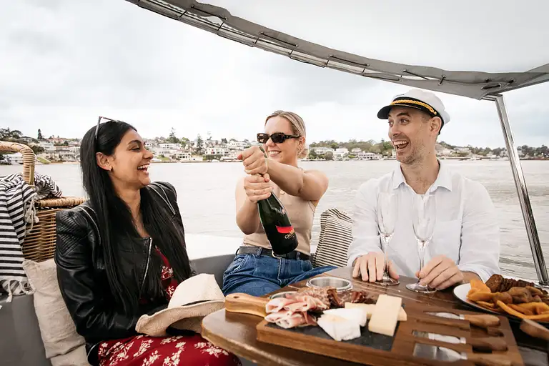 Sydney Electric Picnic Boat Hire Discount