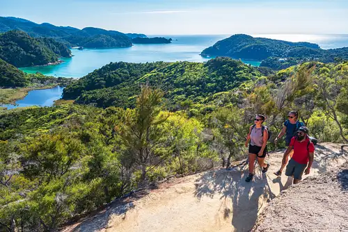 Abel Tasman Kayak & Walk Tour - Kayaking Along the Astrolabe Coast