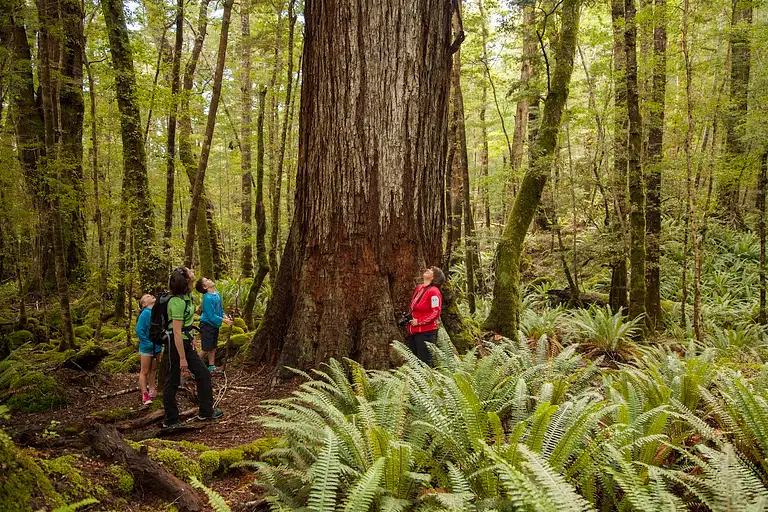Jet boat + kepler track hike