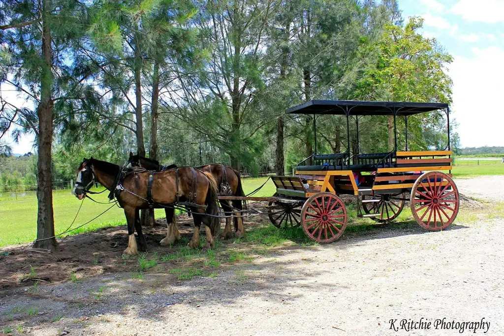 Pokolbin wine tour deals