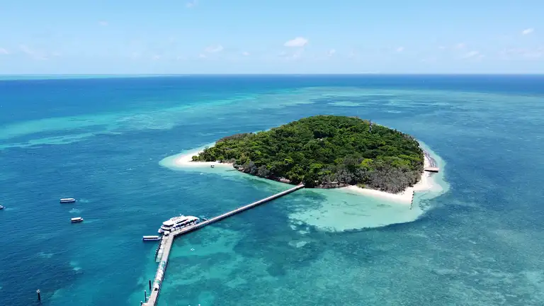 Big Cat Green Island Cruise Full Day