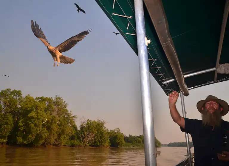 Jumping crocodile adventure deal