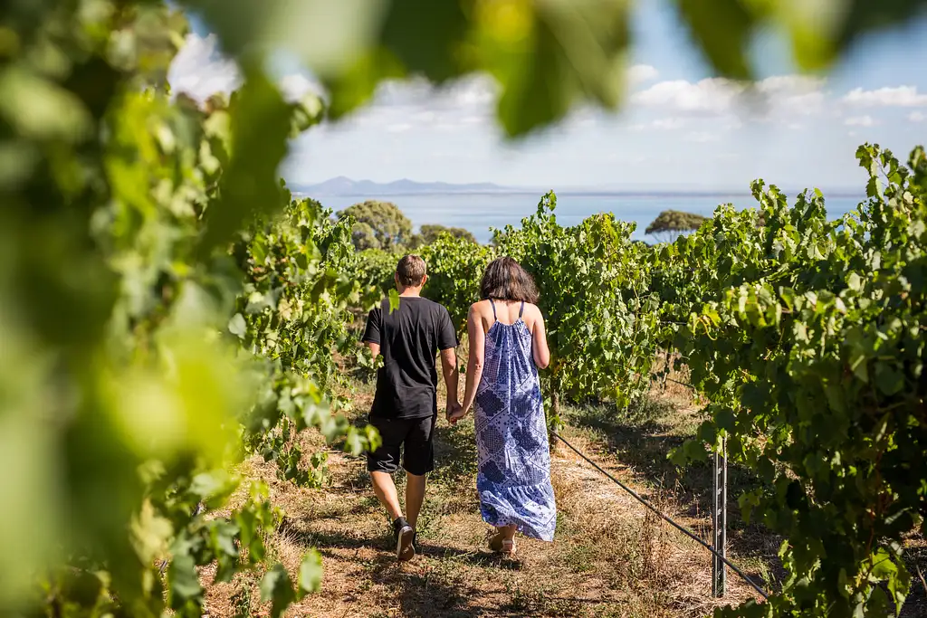 Melbourne Food and Wine Tour