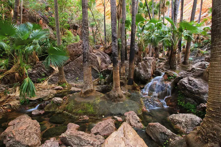 Kimberley Tours