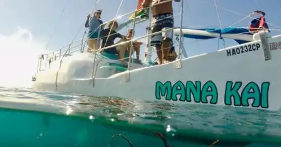 Waikiki turtle snorkel tours.jpg