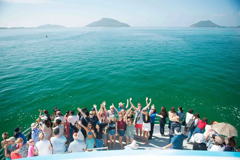 port stephens dolphin cruise