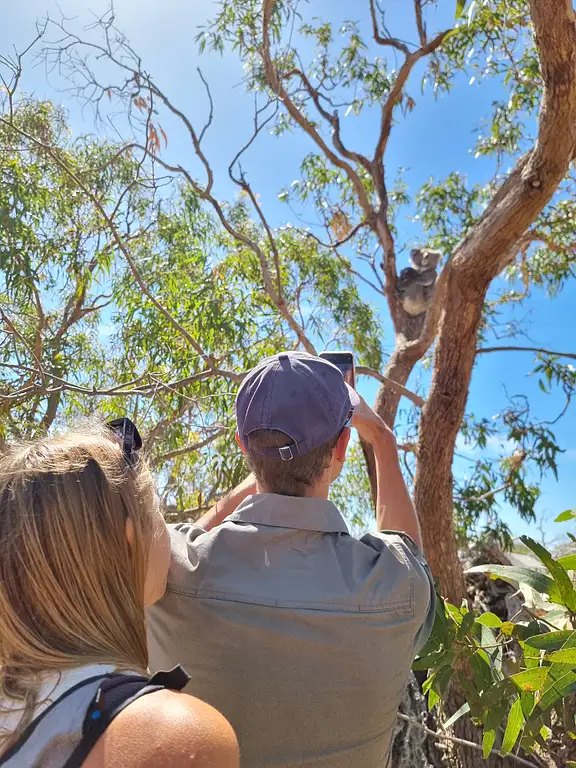 Port Lincoln to Mikkira Station Wild Koala Safari tour
