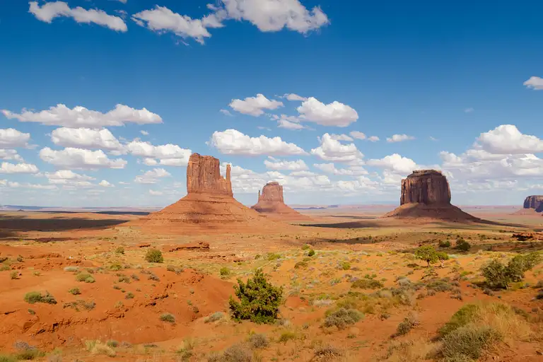 national park tours from las vegas