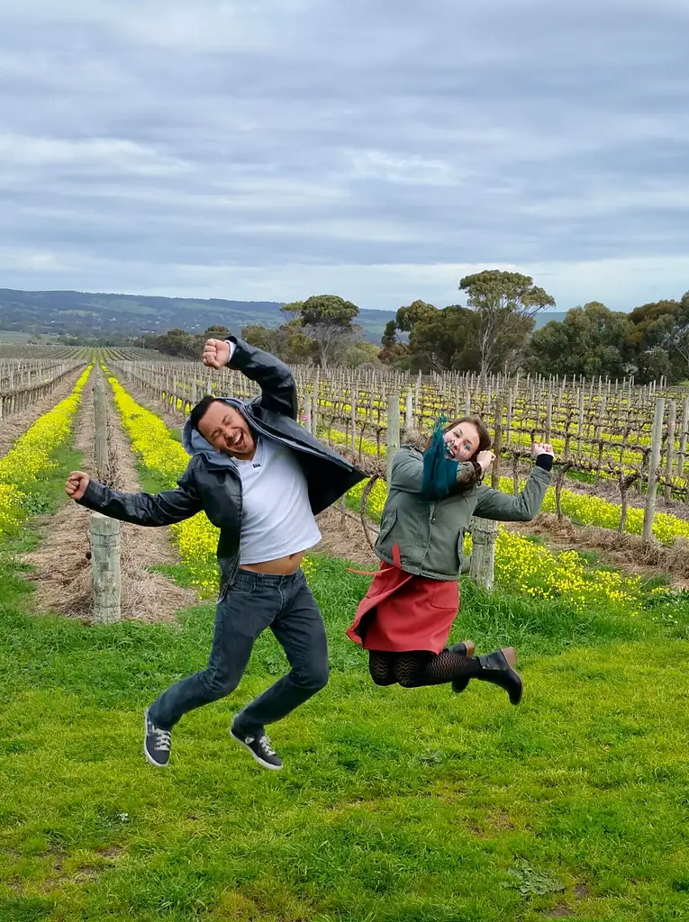 mclaren vale winery tours
