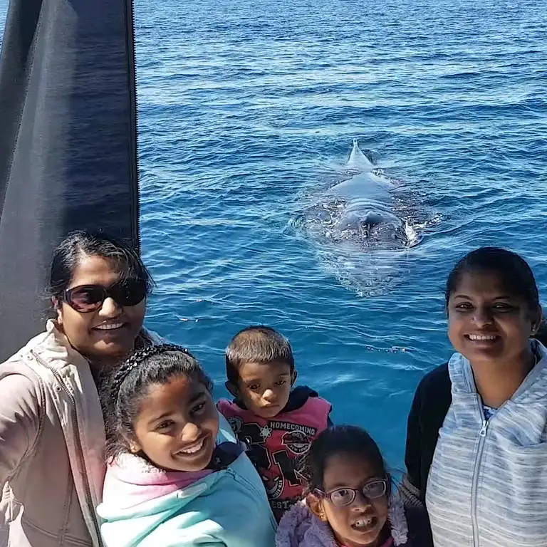 Augusta Whale watching cruise
