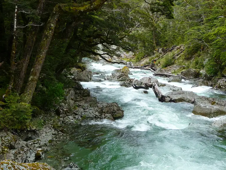 Routeburn Guided Walk Full Day Destination