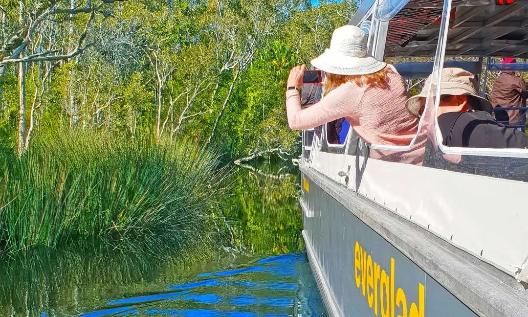 Noosa Everglades Cruise & Highlights Tour Inc. Lunch