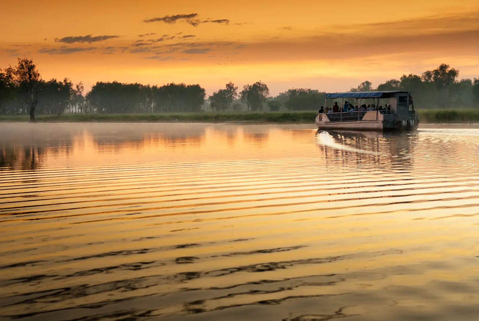 Kakadu in a Day Flight Tour deals