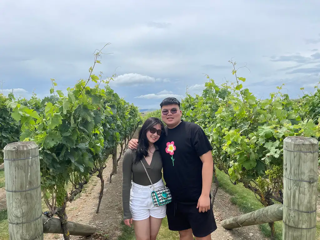 Full Day Martinborough Foodie Tour