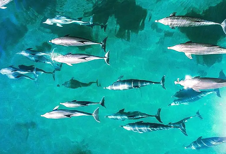 Cairns helicopter tour deals