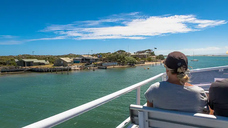 Coorong Discovery Cruise Ticket Discount