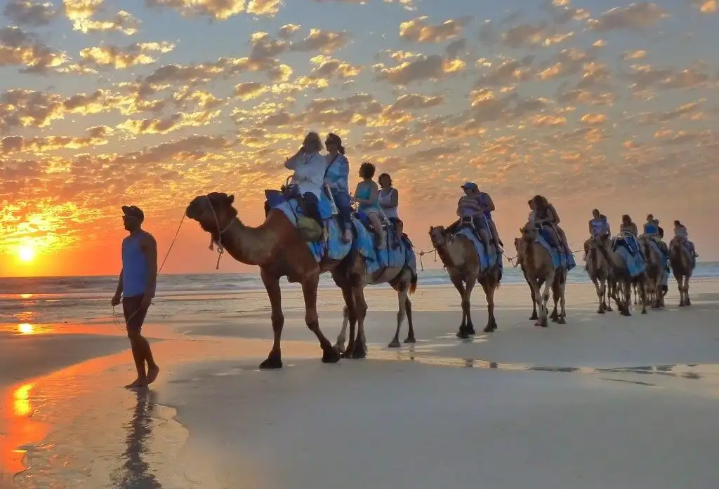 Camel tour Broome