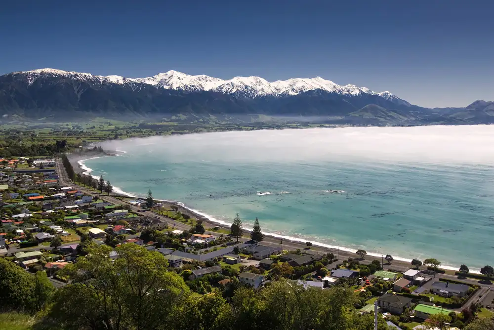 Kaikoura Day Trip From Christchurch Deals