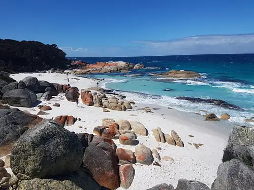 6 Day Taste of Tasmania Tour: Hobart to Hobart