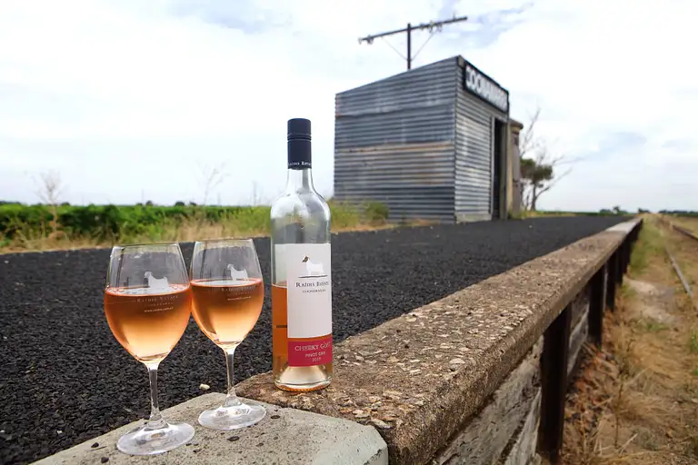 South Australia wine tour