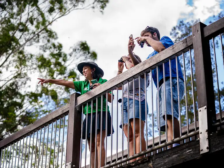 Eungella Rainforest & Wild Platypus Day Tour