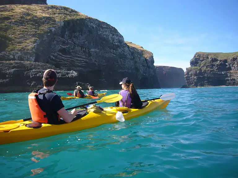 Kayaking Pohatu Penguins