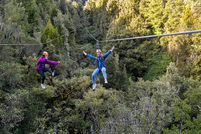 ultimate canopy tour rotorua