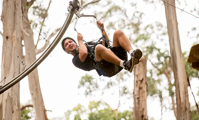 Surf Coast & Lorne Zipline Tour Deals