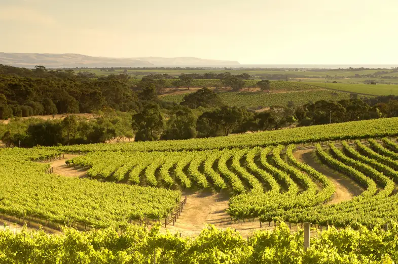 wine tasting tours deals