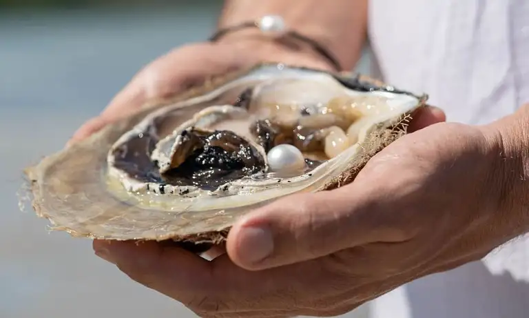 Cygnet Bay Pearling Heritage Tour