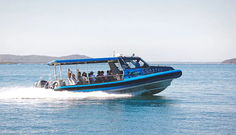 Macquarie Lake Cruise & Nature Walk