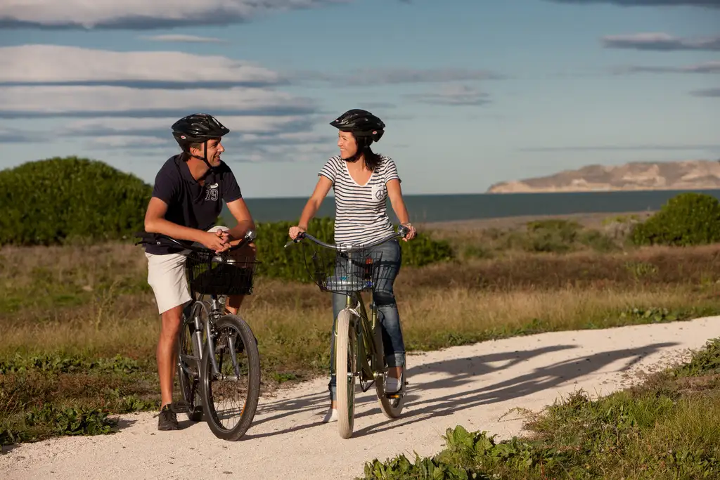 5 Day Hawkes Bay Cycling Wine Tour | Self-Guided | Departing Napier