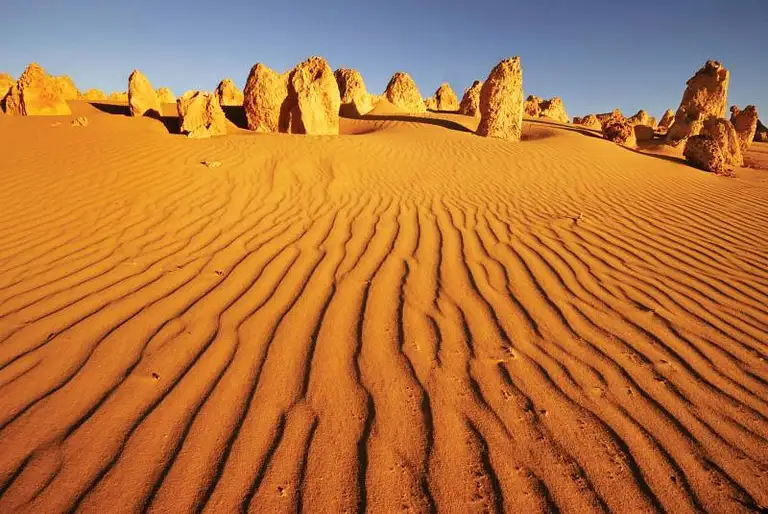 7 day perth to ningaloo reef