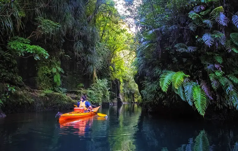 Lake McLaren Kayak Tour