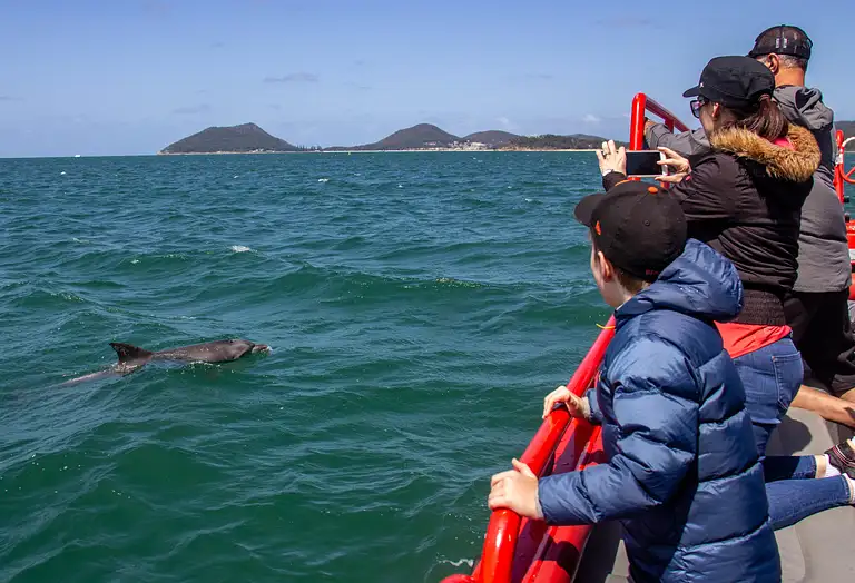 Port Stephens Dolphin Watching Express Deal