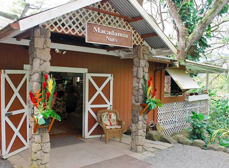 Oahu Sightseeing & Snorkel Tour