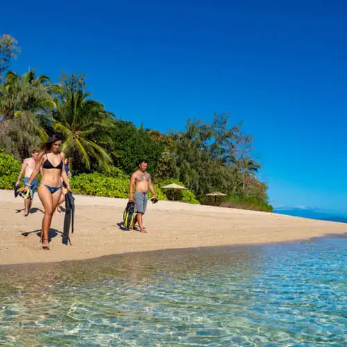 Low Isles Snorkel Tour