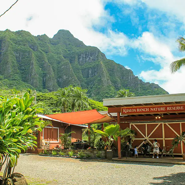 Majestic Circle Oahu Island Tour Special