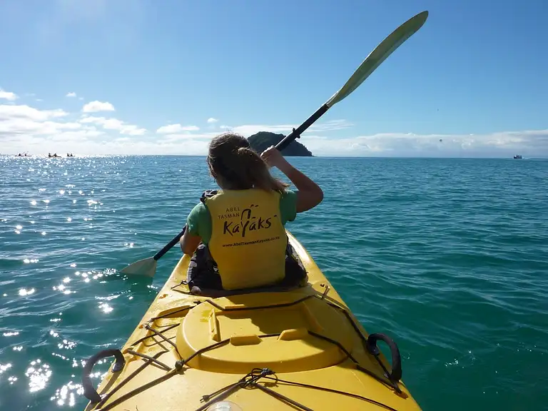Sea kayak with seals