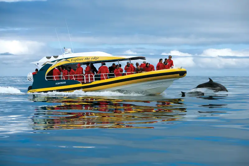 TASMAN ISLAND 3 HOUR CRUISE FROM PORT ARTHUR